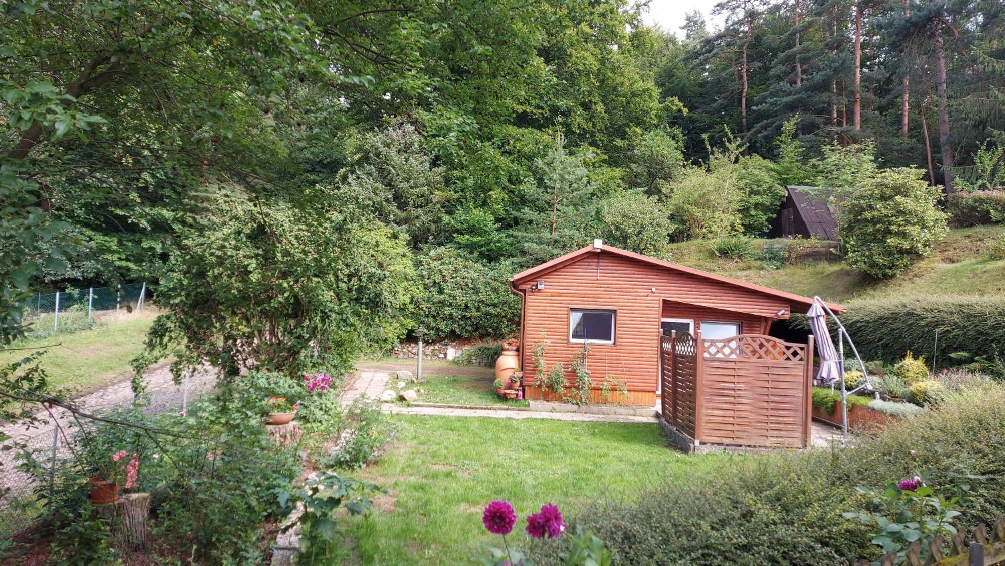 Ferienhaus In Geesthacht-Tesperhude Direkt Am Waldrand Exterior photo